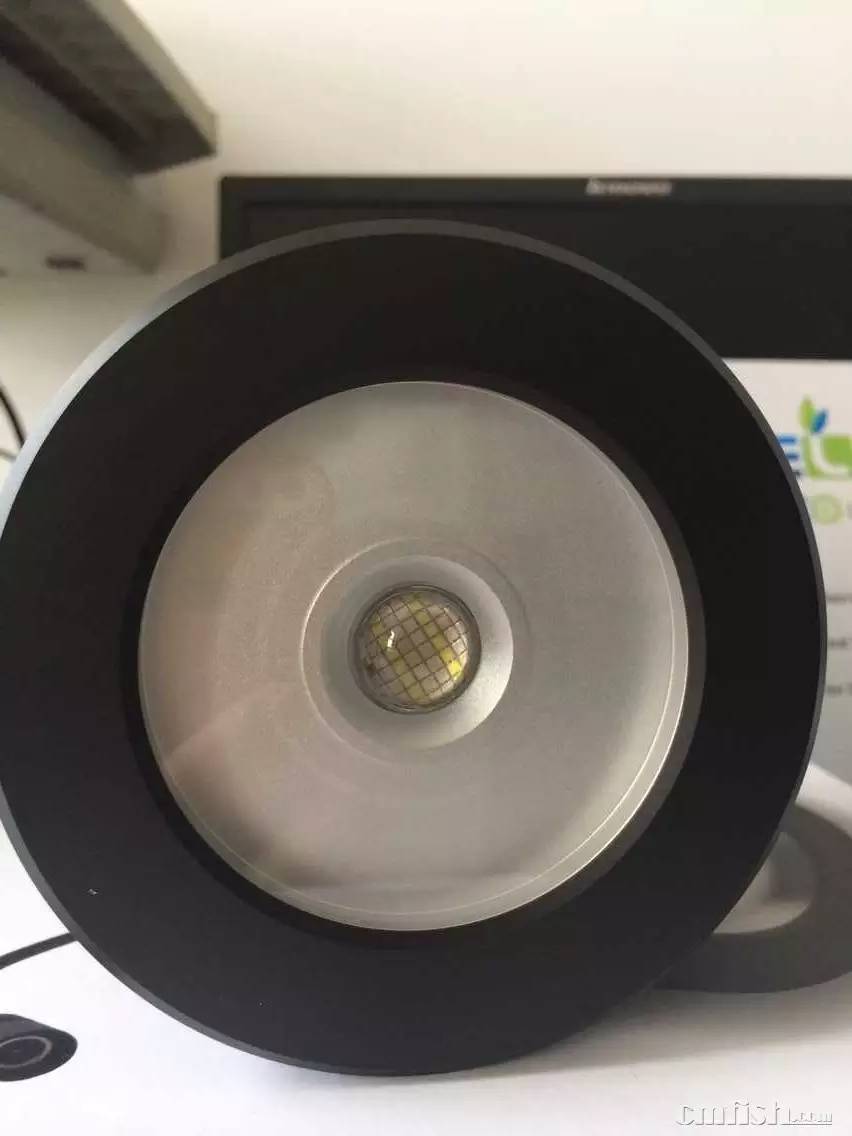 KELO钜彩照明LED水族灯试用活动鱼友评测详情（二）