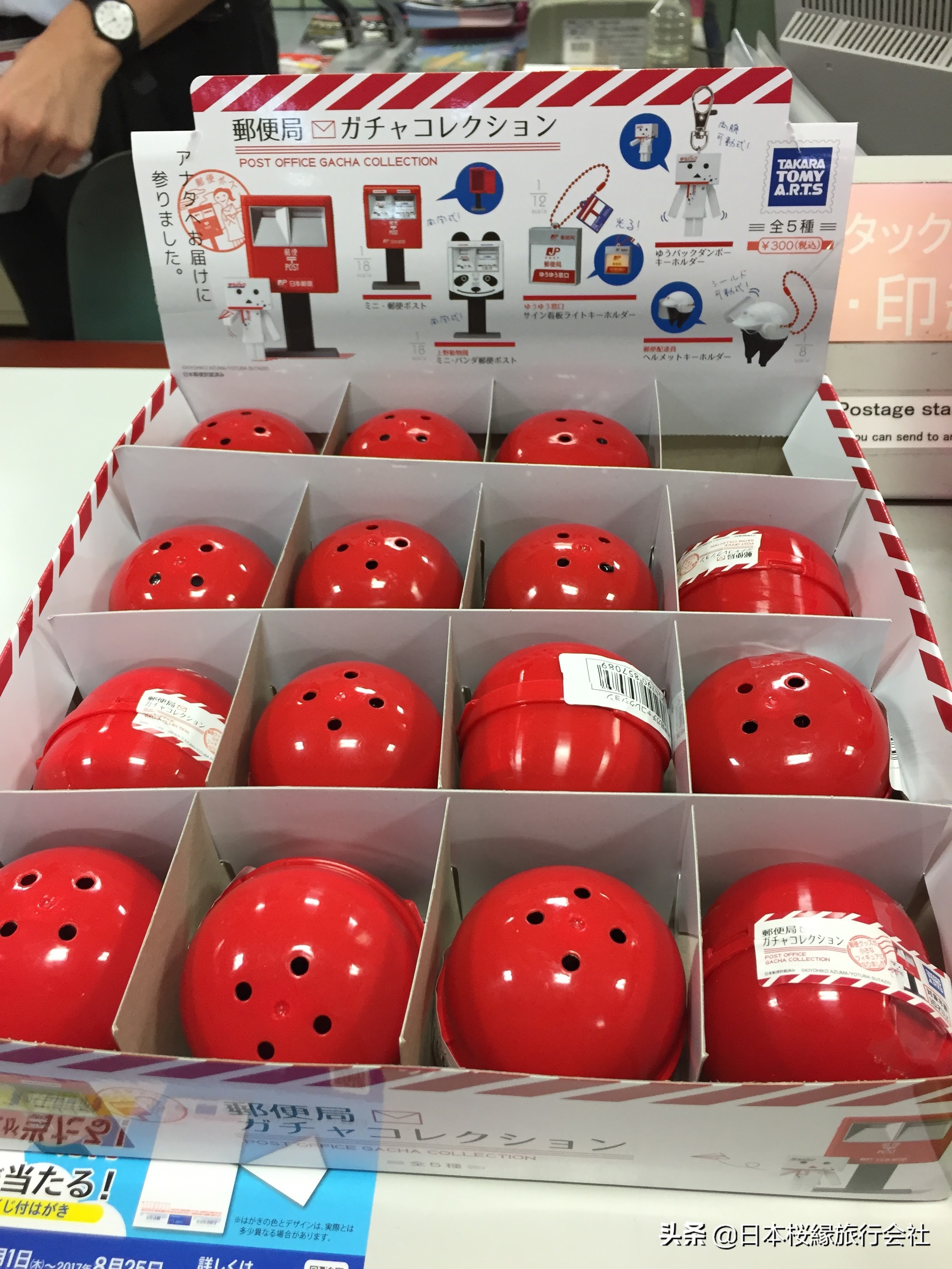 日本北海道旅行包机票,去日本北海道旅游航班