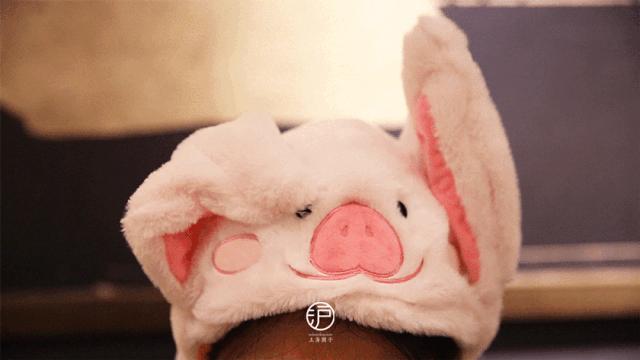 星巴克猪猪杯到哪预订,星巴克最新限定杯