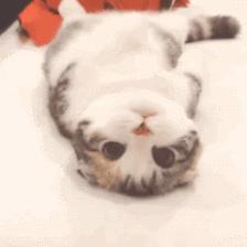 你真的是太有料了----四川体育职业学院