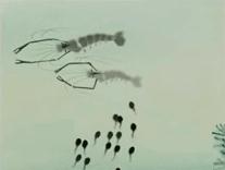 暴露年龄的动画片,已被遗忘的10部动画片