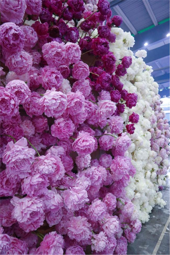 让人惊艳的花展,花展上看到的美到窒息