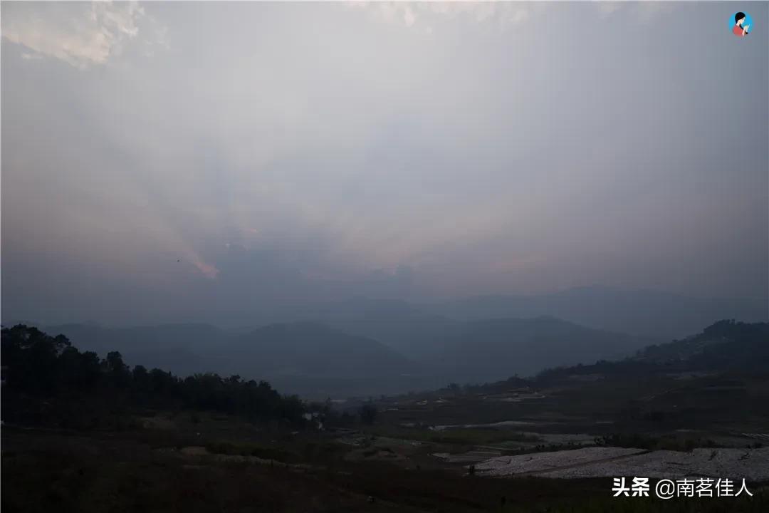 普洱茶的一级类目是什么,普洱茶一山一味的典型代表