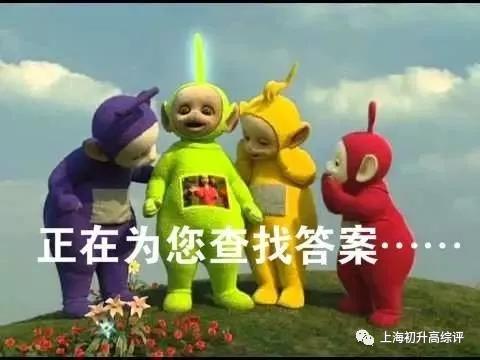 上海闵行区民办双语学校,闵行区上闵外学校排名