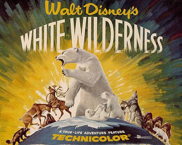 我们从旅鼠之谜中可以学到什么,旅鼠之谜中旅鼠五大奥秘是什么