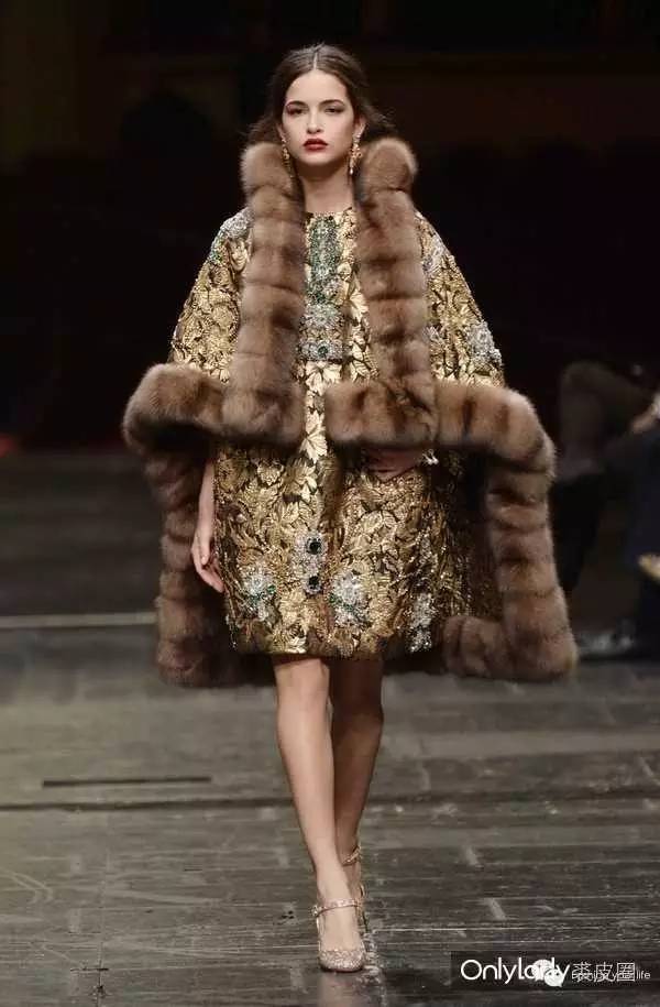 貂中之王紫貂什么颜色,裘中之王是什么意思