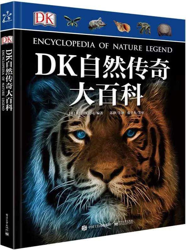 儿童dk哪些书籍值得买,dk儿童书籍推荐