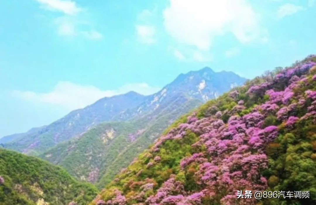 西安新增旅游景点最新消息,西安免费景区开放的最新通告