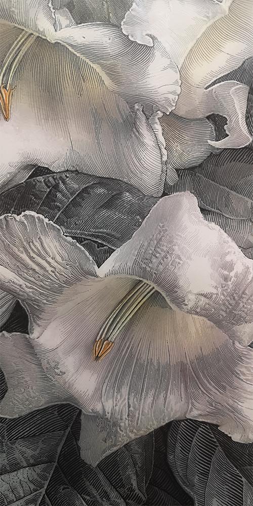 植物画家曾孝濂,画家曾孝濂作品欣赏