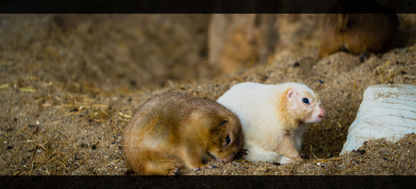 泰旅局发布2019年泰国旅游新玩法,曼谷漫游攻略