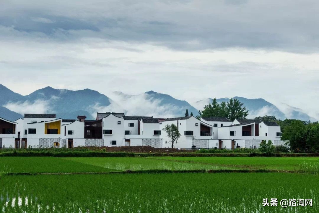 五一小长假结束再看一波各地美景,五一小长假去哪登山踏青看花好