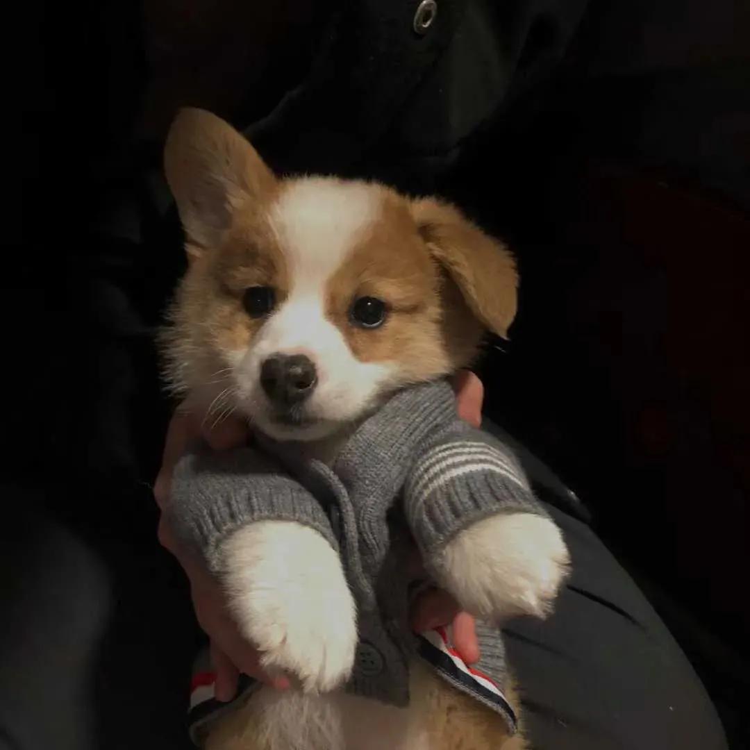 好看珍藏的头像,100张好看不常见的微信头像