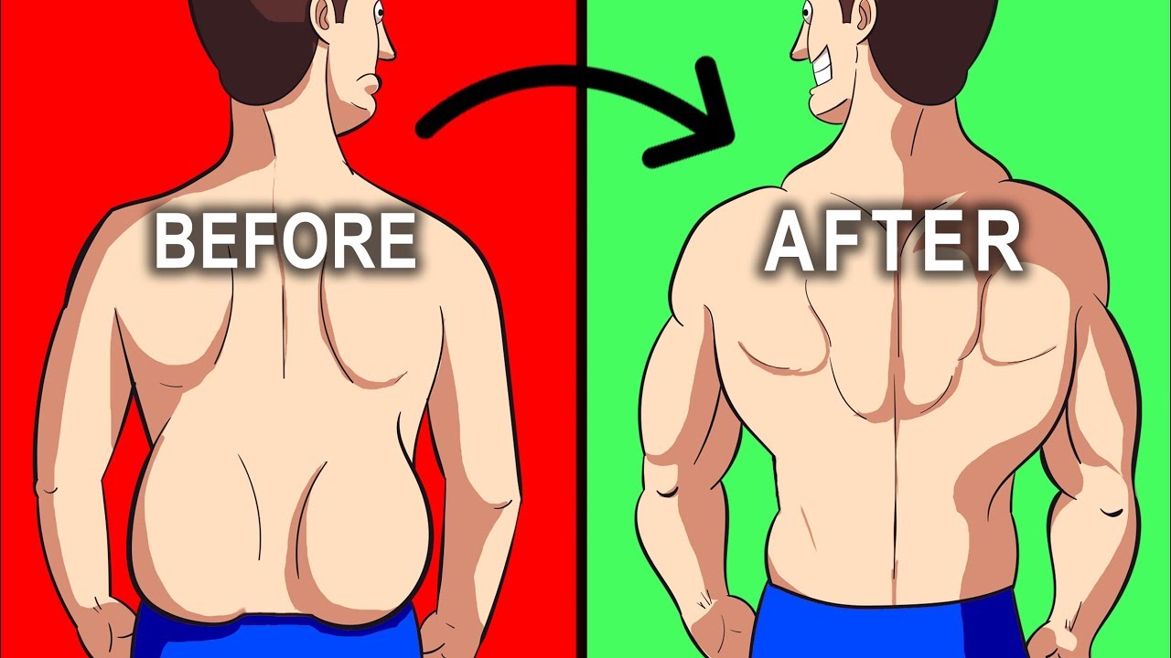 身上不胖就屁股肉多怎么减掉,腰部两边的赘肉怎么减肥