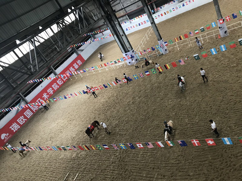 卡丁车山顶游乐深圳南山区,卡丁车深圳欢乐海岸