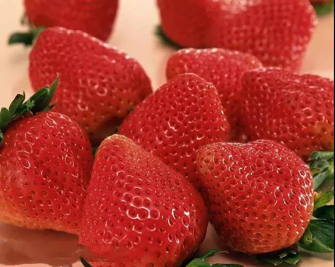 冬天钓鱼小药配方大全集,冬季钓鱼小药配方大全最新