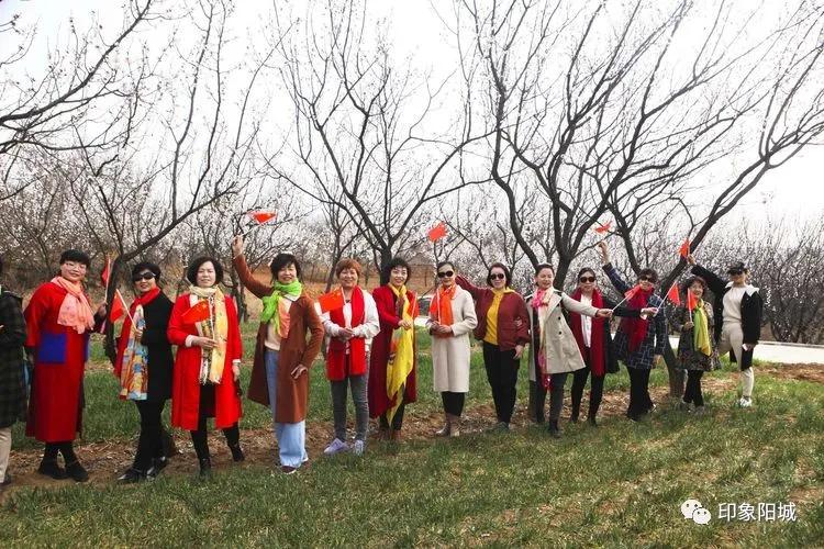 晋城哪里可以春游,晋城附近春游景点