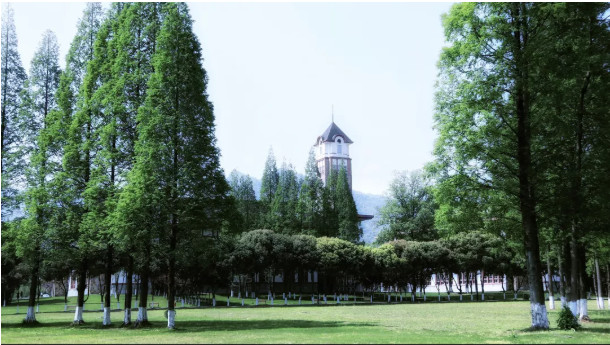 有一种修行叫俗世修行,有一种修行叫止语