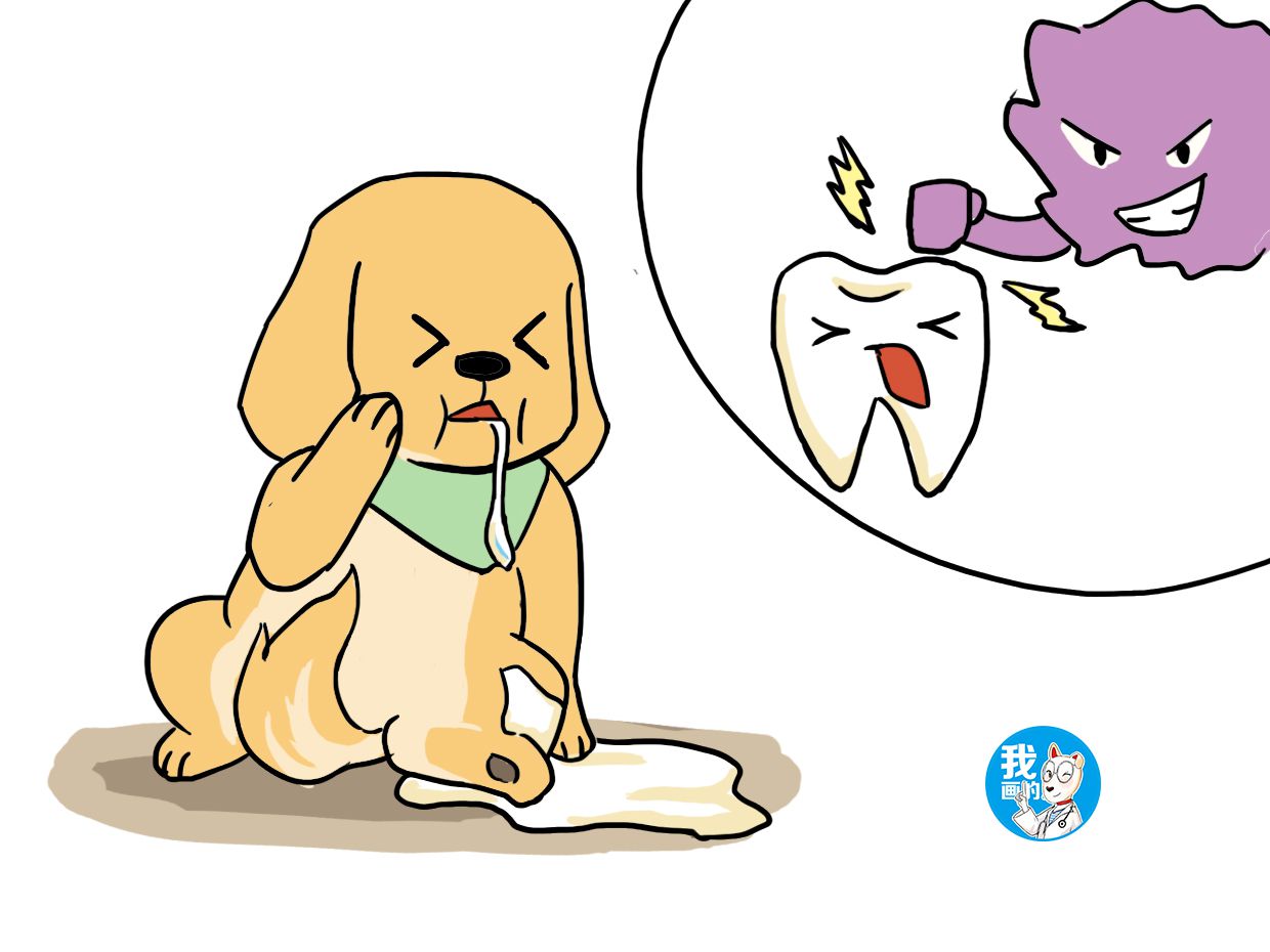 狗狗一直流口水这是什么问题,狗狗一直流口水是不是中毒了