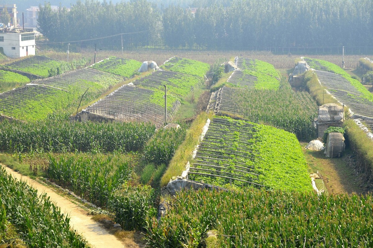 临沂兰山区哪个地方流动人口最多,临沂兰山区哪个县人口密集