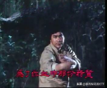 林迪安黄金绿叶视频,多年黄金绿叶林迪安