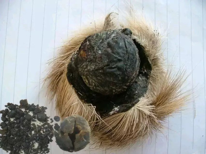 各种香料的属性与搭配,各种香料调料的配方共十八种