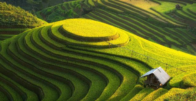 针掉到大海怎么办脑筋急转弯,脑筋急转弯针掉进大海里怎么办