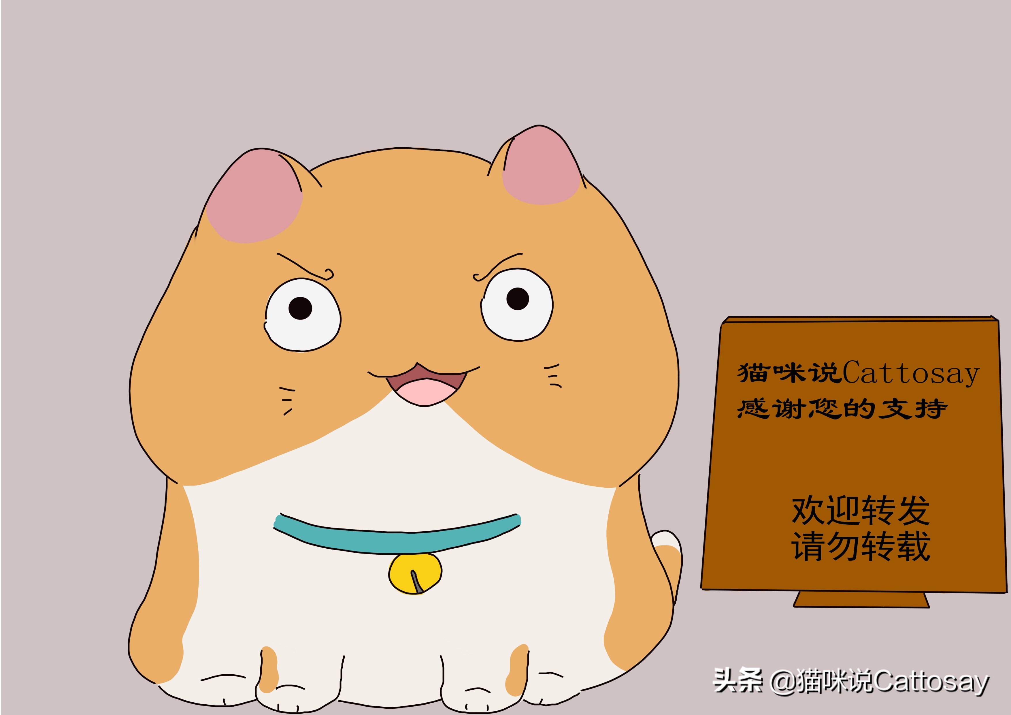 爱喵汪的铲屎官,爱猫的铲屎官幸福吗