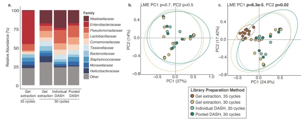 哪些菌可以在肠道定植,活菌在人体中可以存活吗