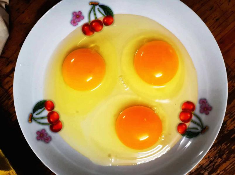 养鸡100万致富经视频,900元养鸡养猪