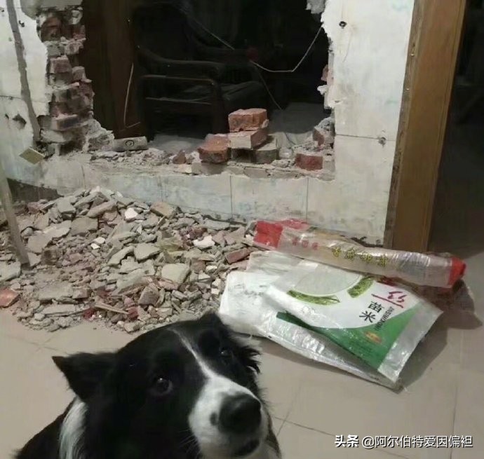 关于女生玩游戏的搞笑段子,游戏搞笑段子哪里找的