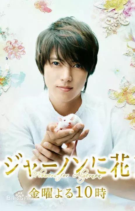 山下智久为什么这么火,山下智久2014事件