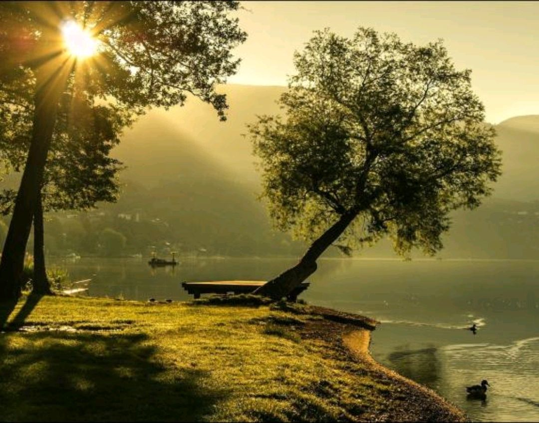 白t恤上的血渍怎么去除,白t恤有黄色污渍怎样去掉