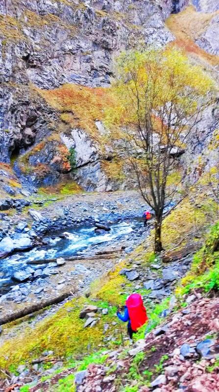 带上UL从狼塔C回家