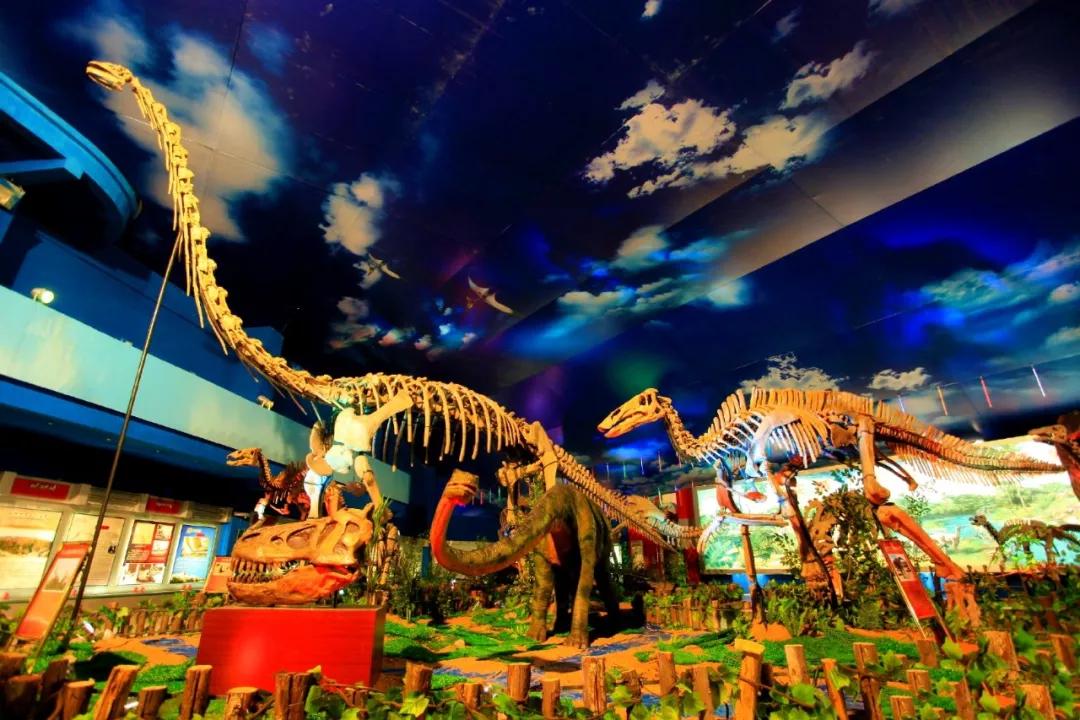 山东最美的自驾游线路图片大全,山东最好的自驾游景点