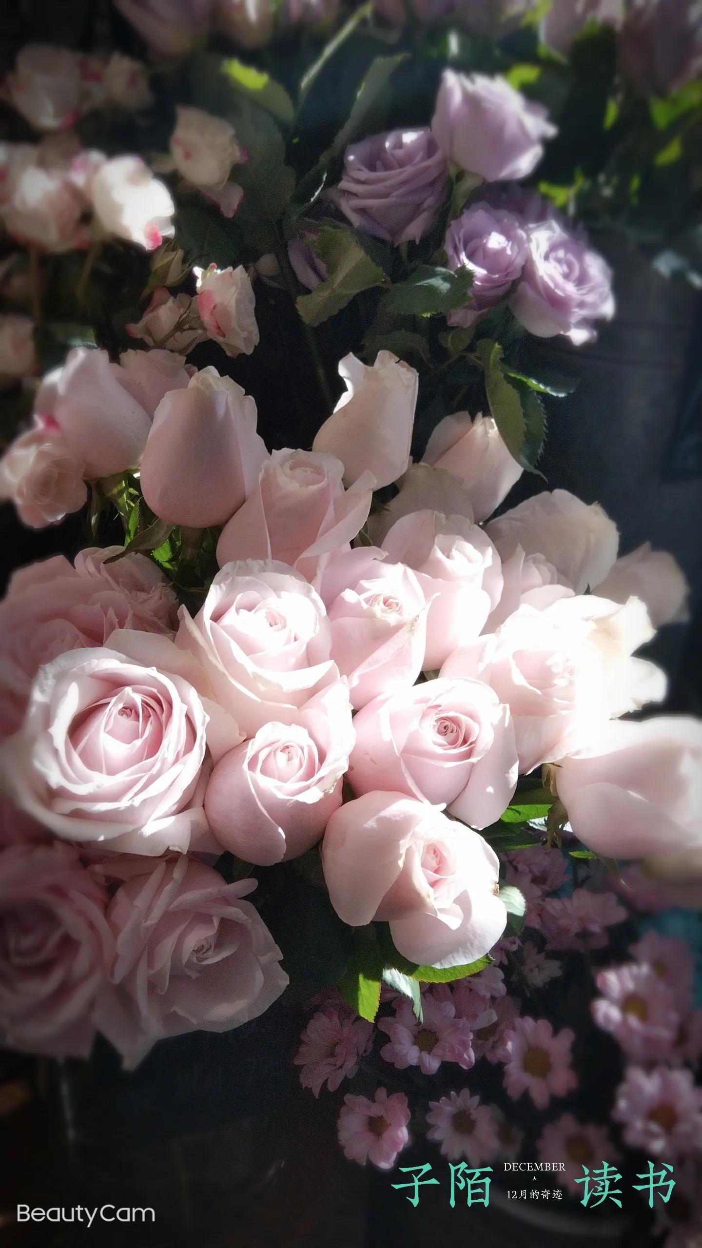 自己的花是让别人看的,自己的花是让别人看的教案