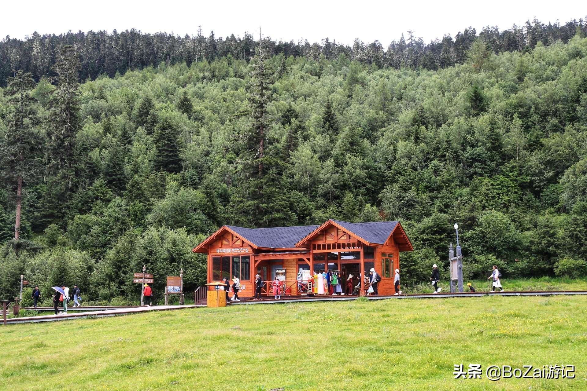 云南迪庆有哪些旅游景点,迪庆最值得去的景点有哪些地方