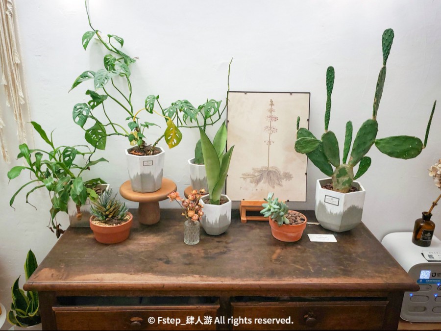 宅家云旅游遇见最美的自己 (宅家云旅游唯有爱与美食不可辜负)