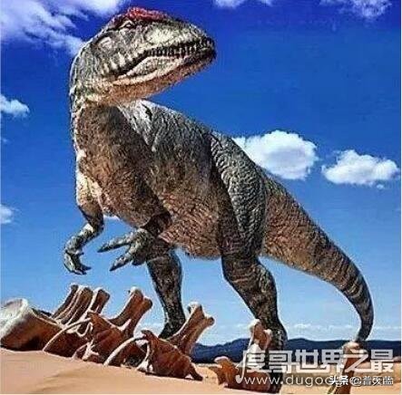 恐龙最凶猛前十名,有些恐龙凶猛异常