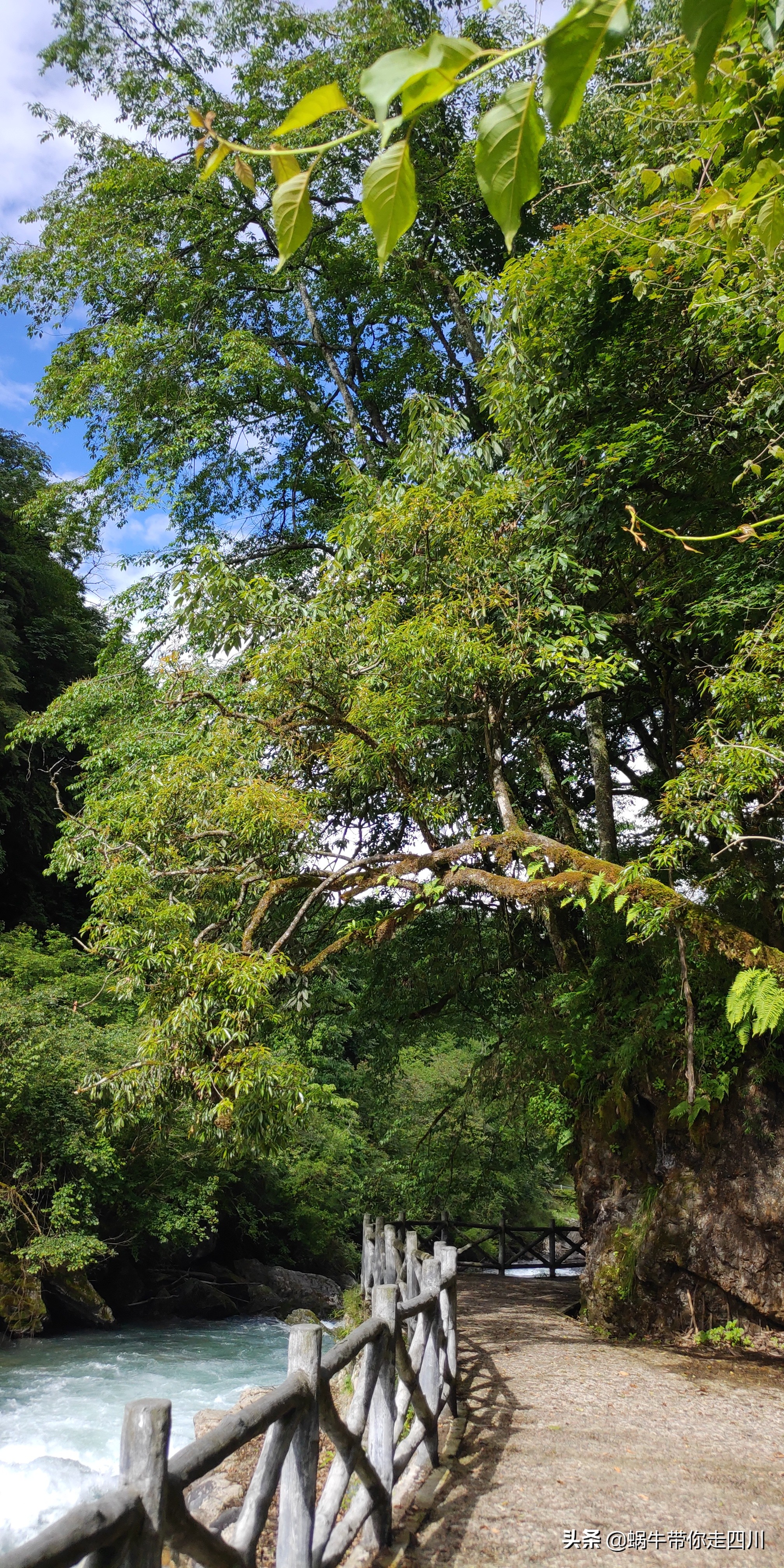 一家三口重庆到拉萨旅游攻略预算,一家三口成都去拉萨大概要多少钱