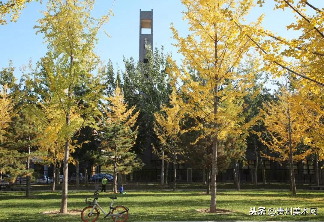 中央美术学院招生简章2024研究生,2016中央美术学院研究生招生简章