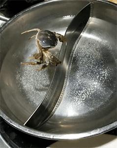 把车标全部抠掉违法吗,把车标抠下来清灰