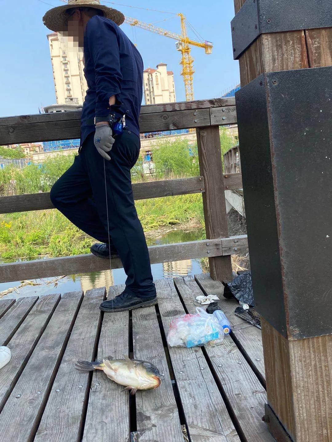 大连一艘渔船捕获的怪鱼,大连杏树屯一条渔船捕捞一条怪鱼