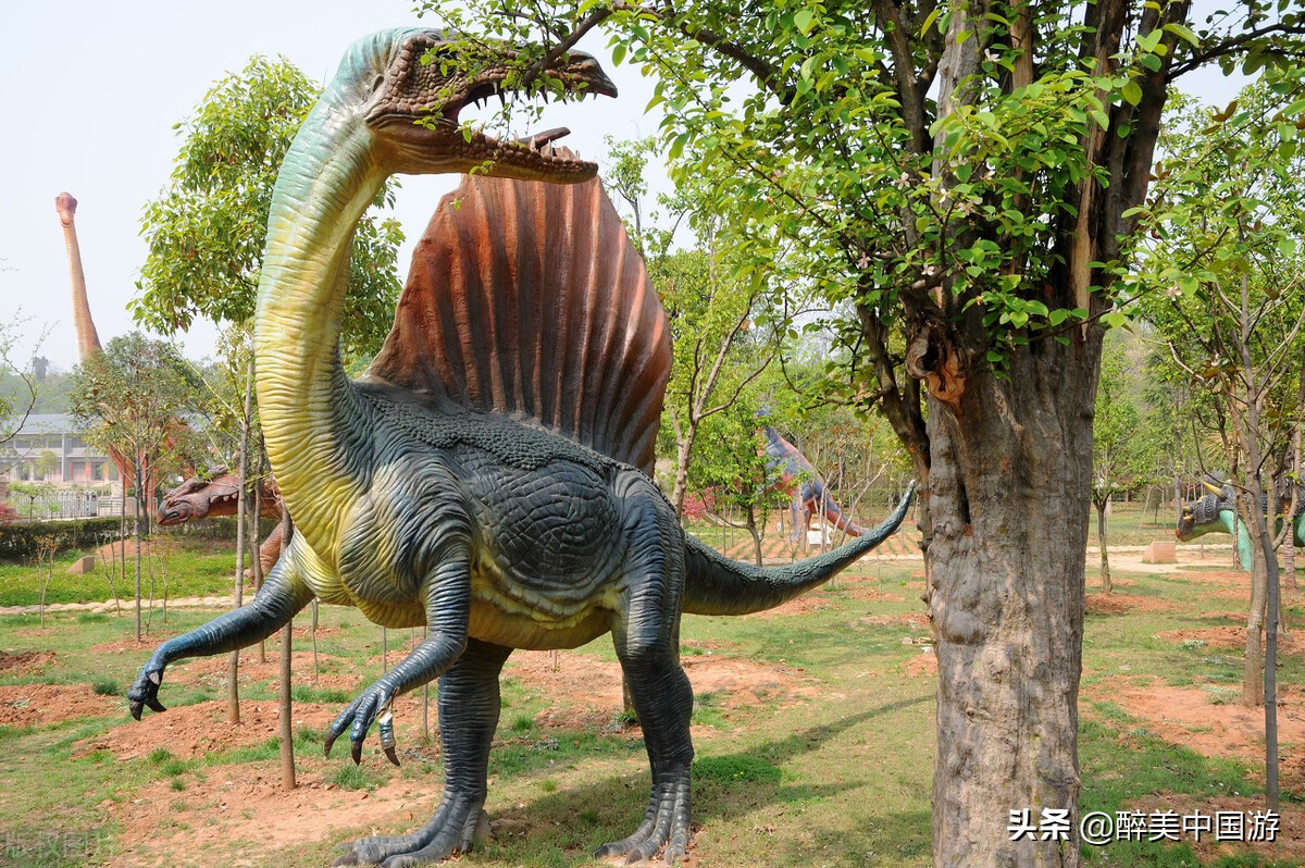 河南5a级旅游景点排名前十,河南适合老人腿脚不方便去的景点