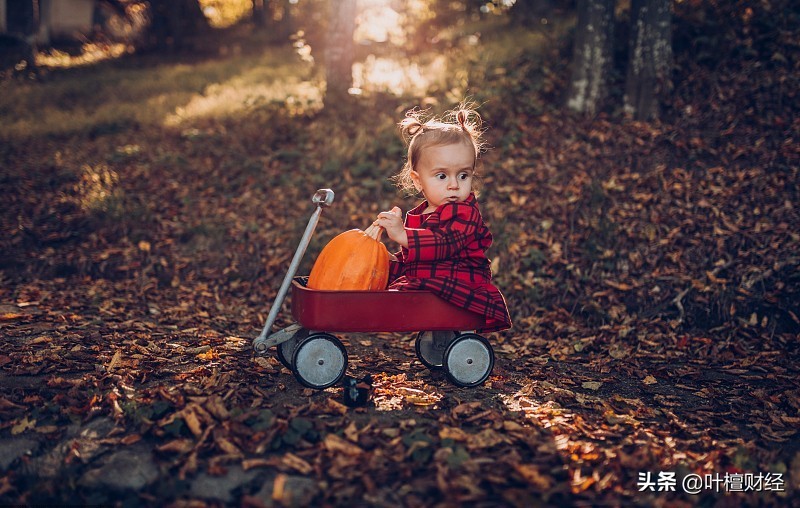 叶檀财经谈买房,叶檀财经最好的买房方式