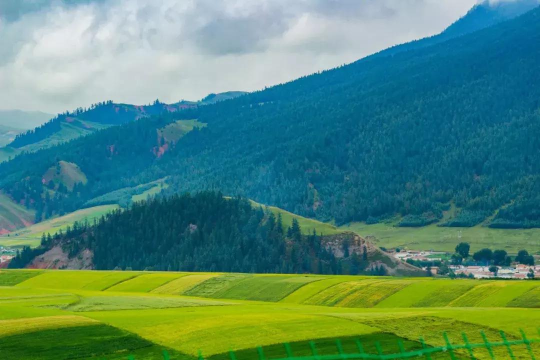 甘肃唯一一个与蒙古国接壤的地区,什么是甘肃独有民族