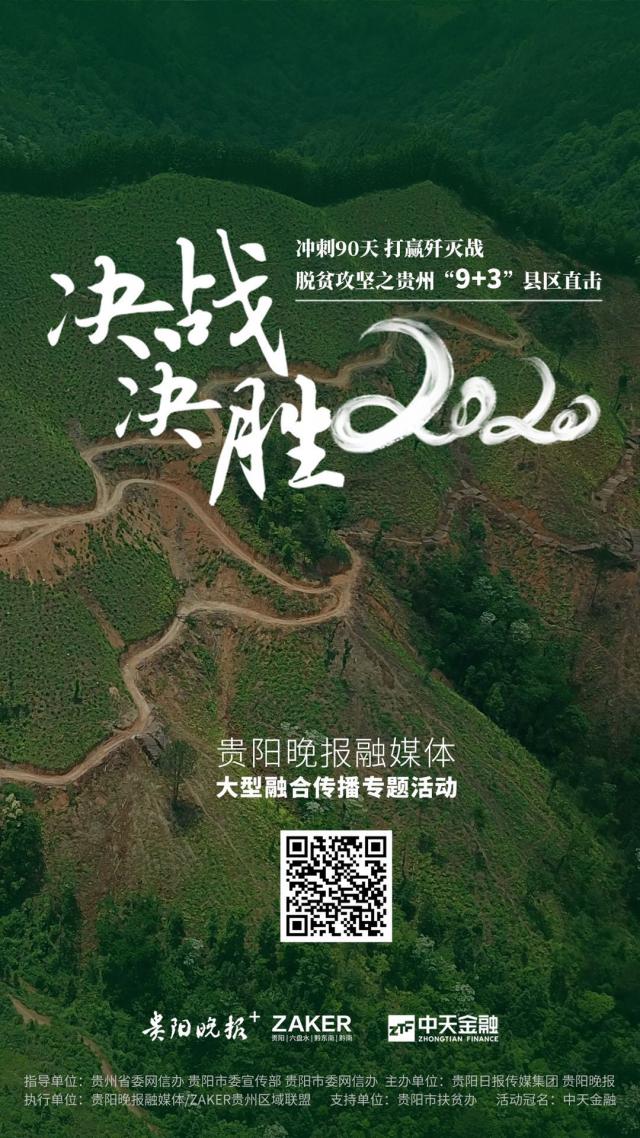 贵州榕江黑木耳丰收助农增收致富,贵州黔西林下养殖闯出致富路