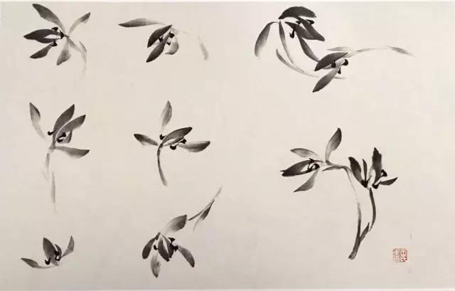 国画兰花绘画图,简单国画兰花画法教程