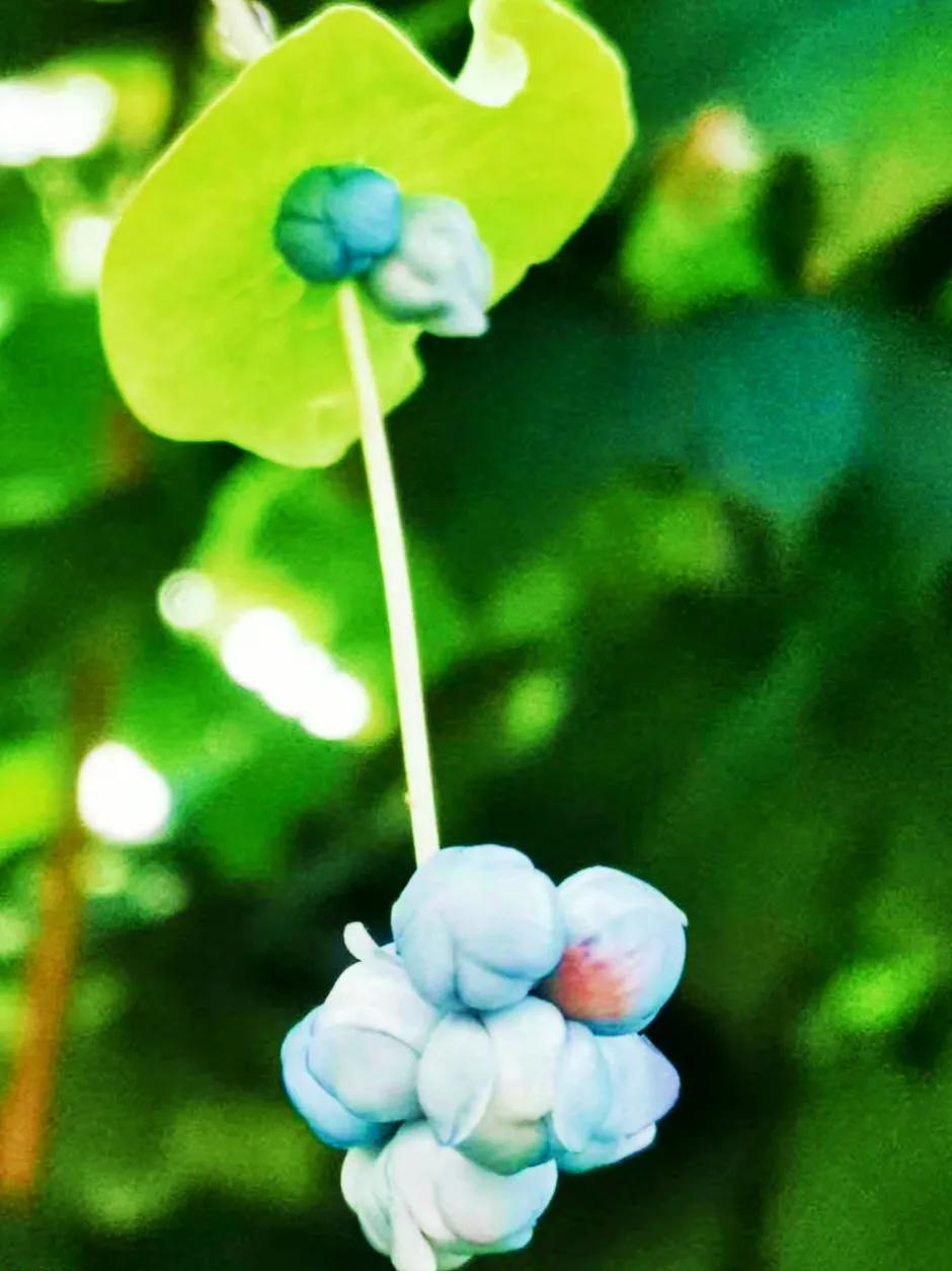 咏酒古诗60首,咏酒古诗词100首