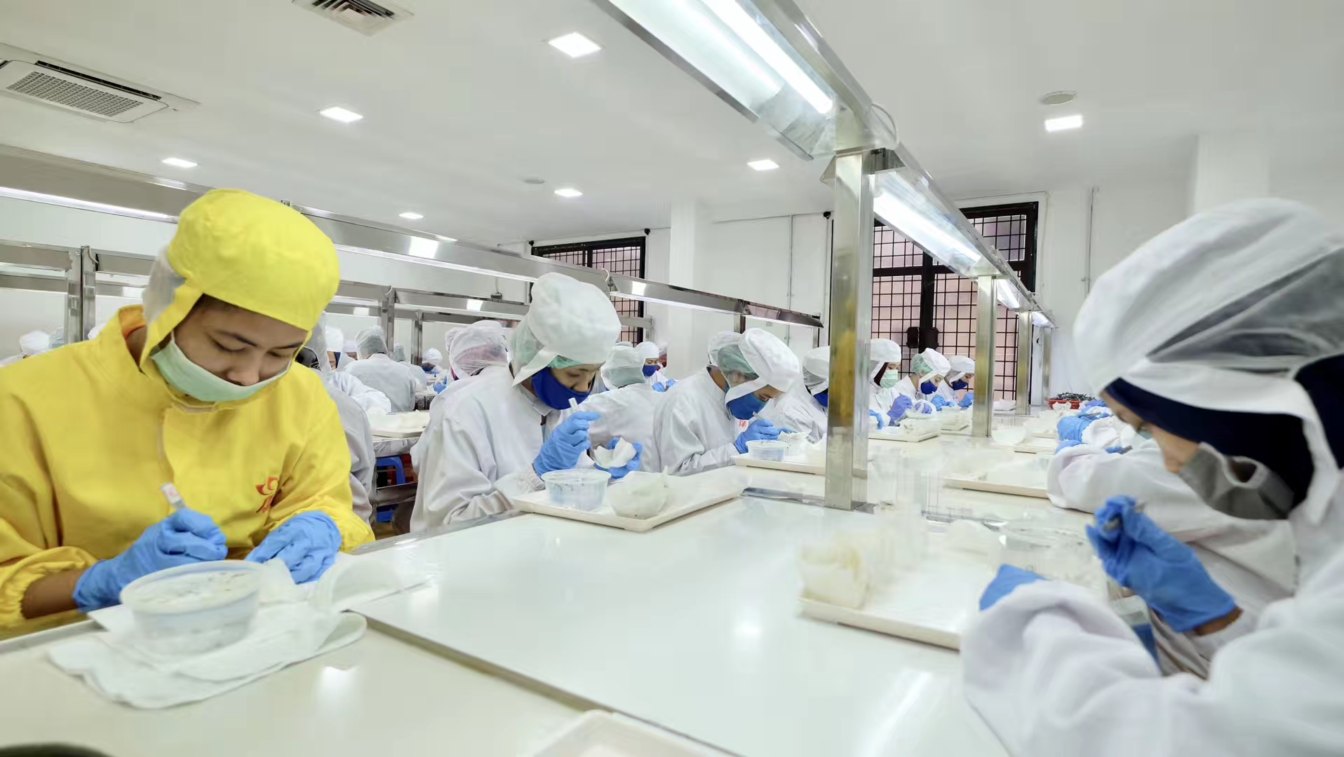 马来西亚的燕窝和印尼燕窝区别,泰国燕窝好还是印尼燕窝品质好