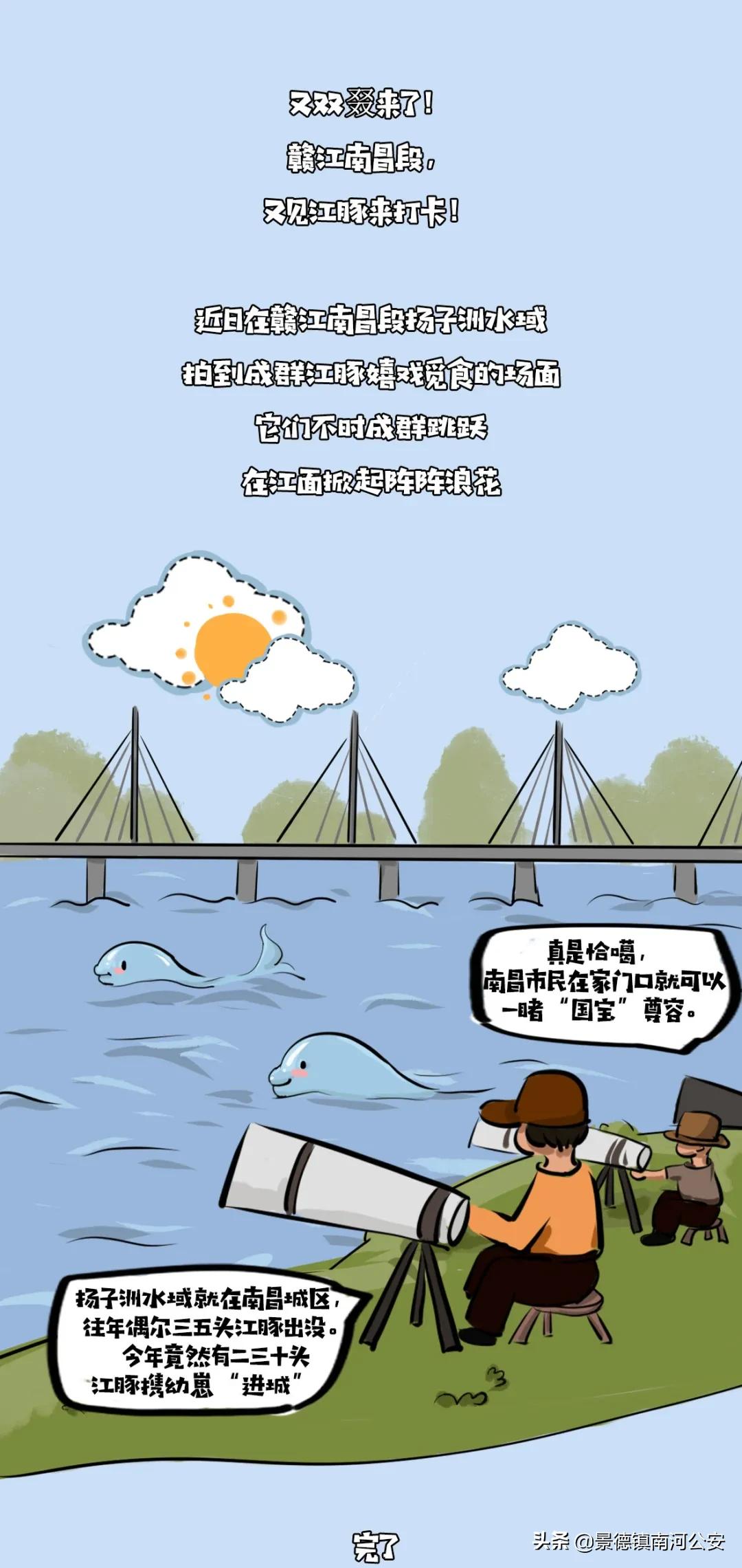 赣江一江两岸视频,赣州赣江最新视频